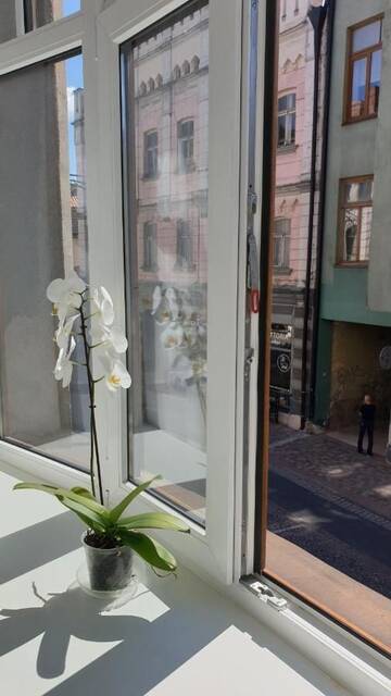 Фото номера Четырехместный номер с общей ванной комнатой Апартаменты Camino Cesis г. Цесис 9