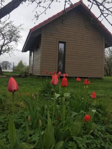Фото номера Дом с 1 спальней Дома для отпуска Holiday house Ausekļa namiņš г. Цесис 22