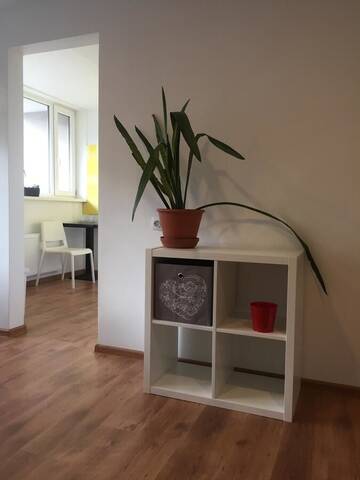 Фото номера Апартаменты с 1 спальней Апартаменты apartamenti Zirnis г. Цесис 18